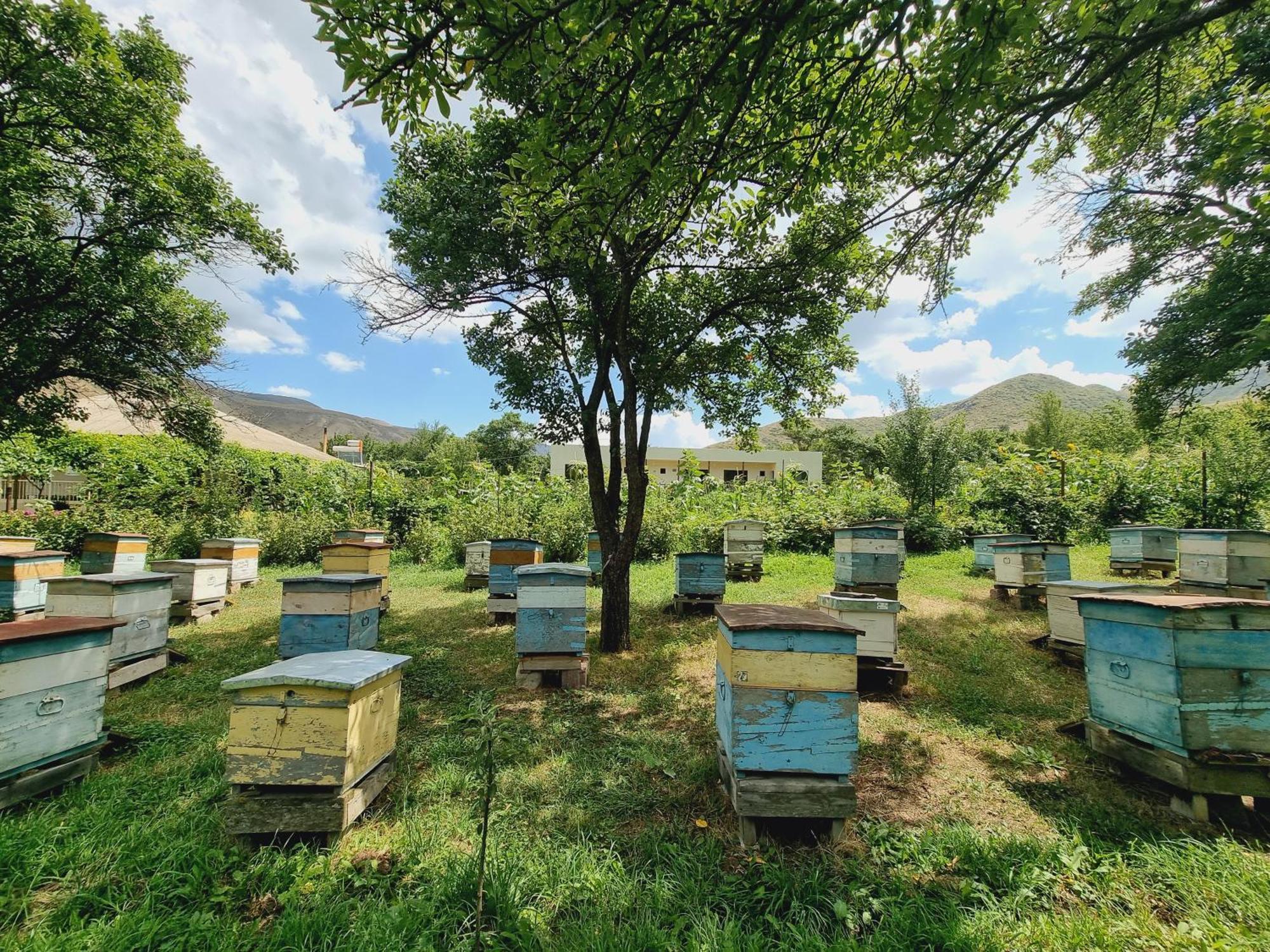 Bee House Hotell Pia Eksteriør bilde