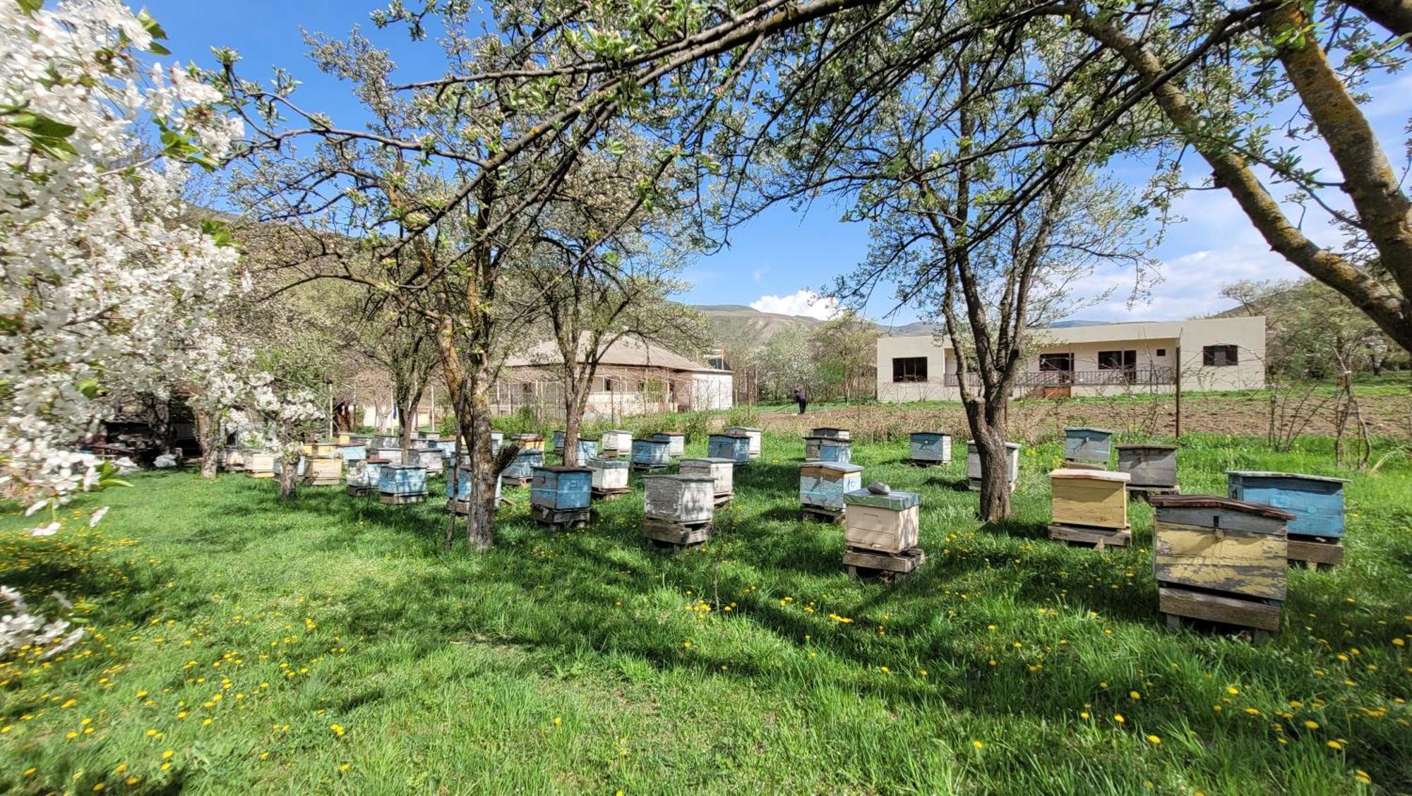 Bee House Hotell Pia Eksteriør bilde